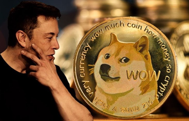 Dogecoin: A Beginner’s Guide to the Beloved Meme Cryptocurrency